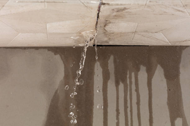 Professional Structural Drying technician working in Chippewa Lake, OH